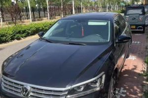 帕薩特 大眾 280TSI DSG尊榮版