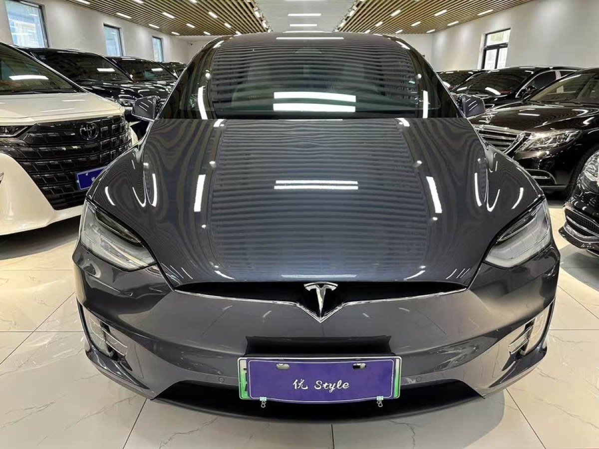 特斯拉 Model X  2020款 長續(xù)航升級(jí)版圖片