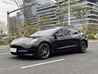 2021年6月 特斯拉 Model 3 標(biāo)準(zhǔn)續(xù)航后驅(qū)升級(jí)版 3D6圖片