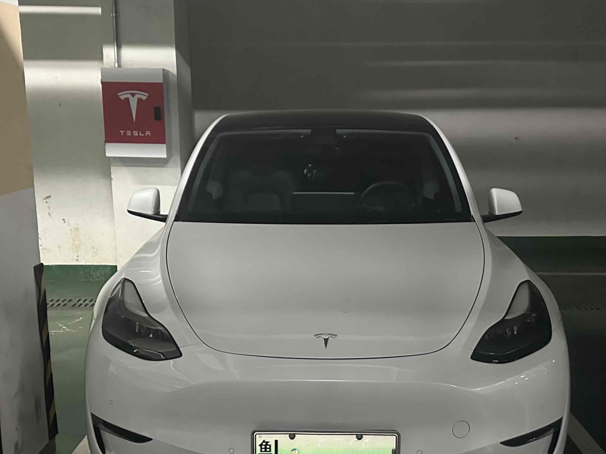 特斯拉 Model 3  2023款 長續(xù)航煥新版 雙電機全輪驅動圖片