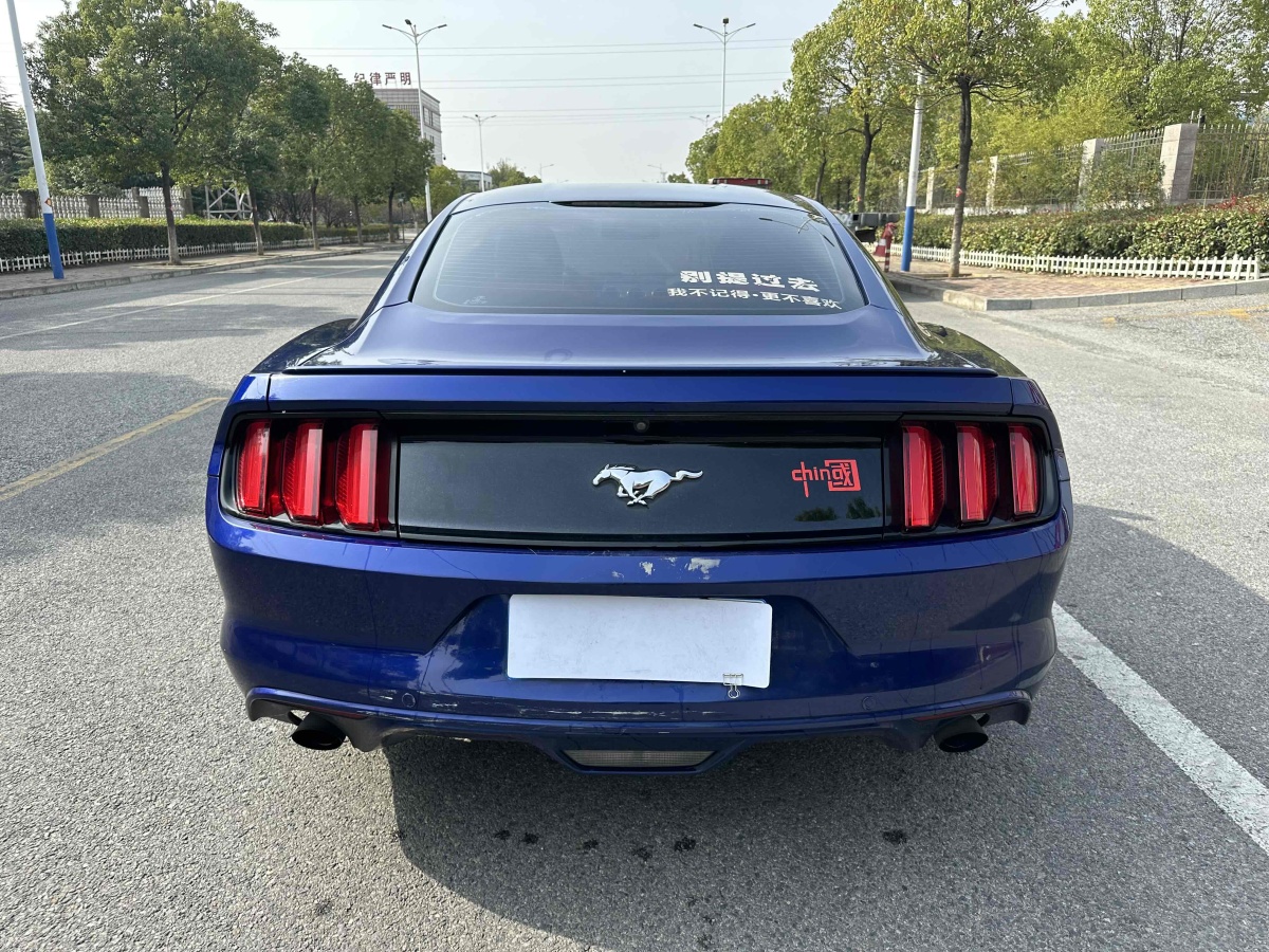 福特 Mustang  2015款 2.3T 性能版圖片