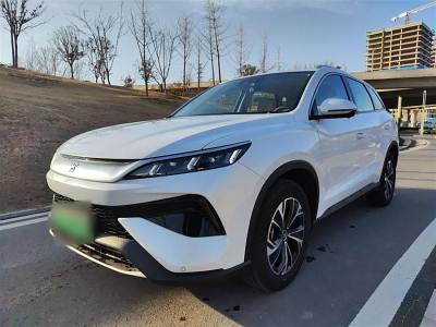 2024年10月 比亞迪 宋Pro新能源 DM-i 115KM超越型圖片