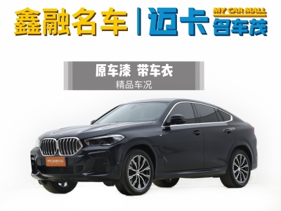 寶馬 寶馬X6(進口) xDrive40i M運動套裝圖片