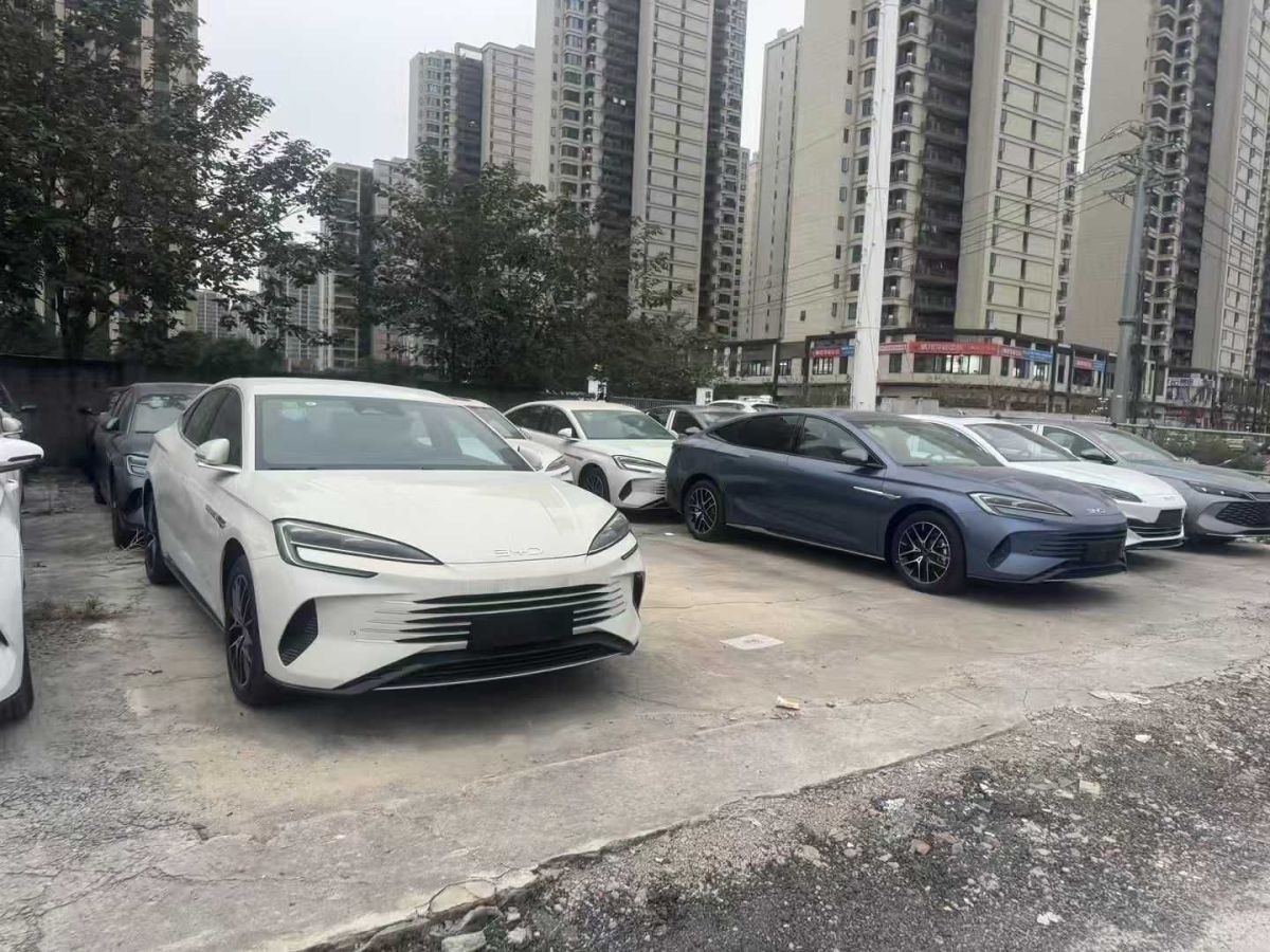 比亞迪 海豚  2025款 420km 時尚版圖片