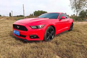 Mustang 福特 2.3T 性能版