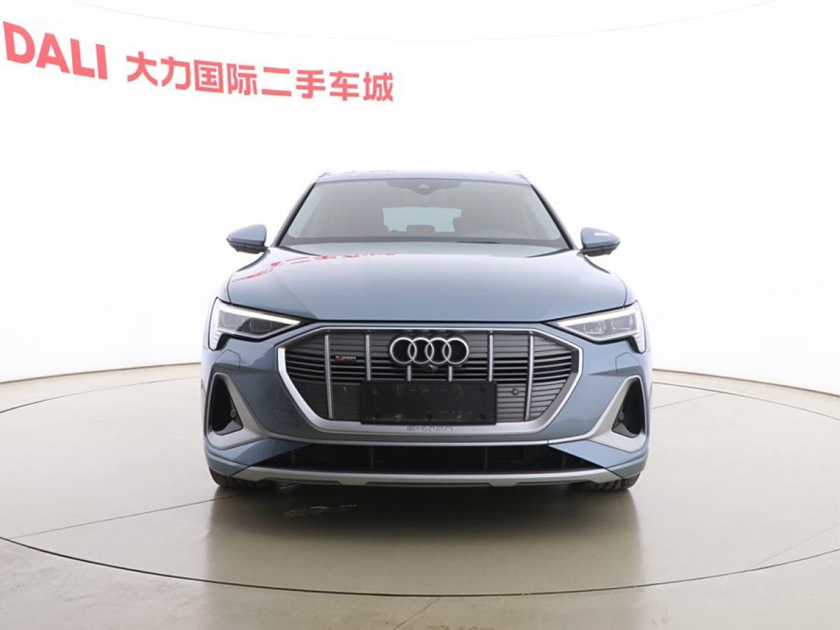 奧迪 奧迪e-tron  2021款 50 quattro 臻選型圖片