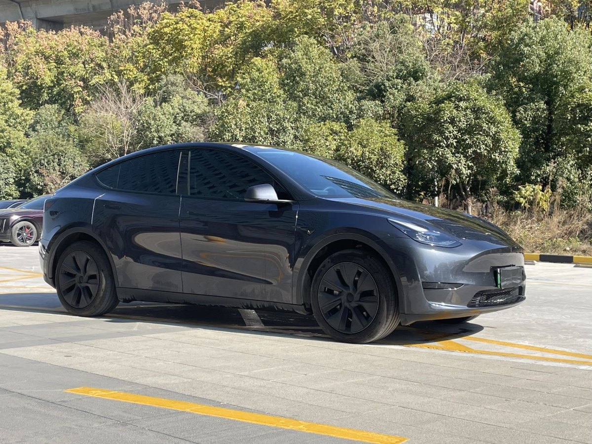 2024年3月特斯拉 Model 3  2020款 改款 長續(xù)航后輪驅動版