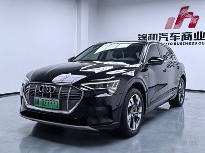 2020年12月 奧迪 奧迪e-tron(進口) 55 quattro 專享型圖片