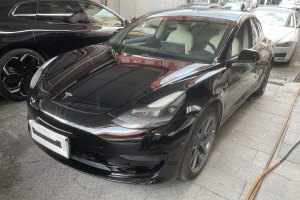 Model 3 特斯拉 标准续航后驱升级版