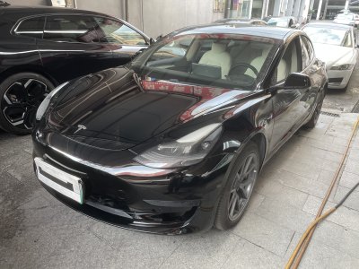 2021年1月 特斯拉 Model 3 標(biāo)準(zhǔn)續(xù)航后驅(qū)升級版圖片