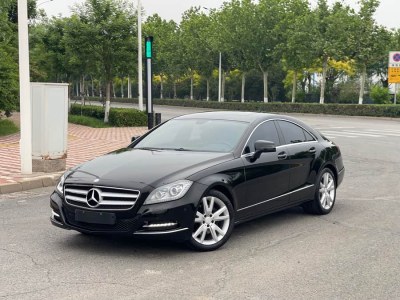 2013年8月 奔馳 奔馳CLS級(jí)(進(jìn)口) CLS 300 CGI圖片