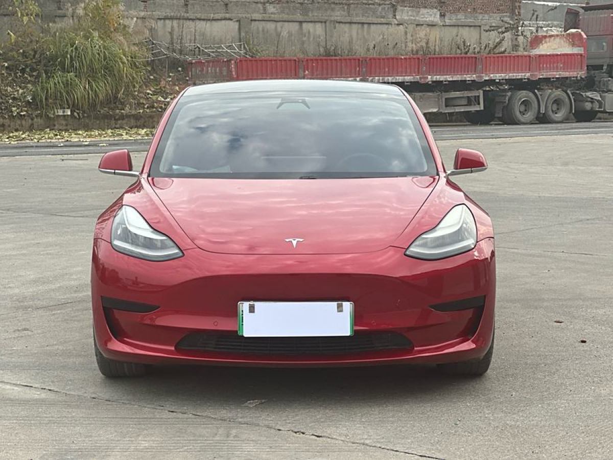 特斯拉 Model 3  2020款 改款 標(biāo)準(zhǔn)續(xù)航后驅(qū)升級(jí)版圖片