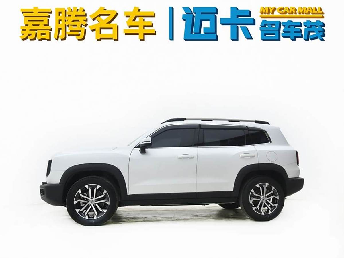 哈弗 哈弗大狗  2021款 1.5T DCT邊牧版圖片