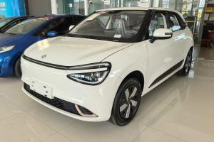 銳騏皮卡 東風 2.4L CNG 單氣瓶 兩驅(qū)版 2TZH