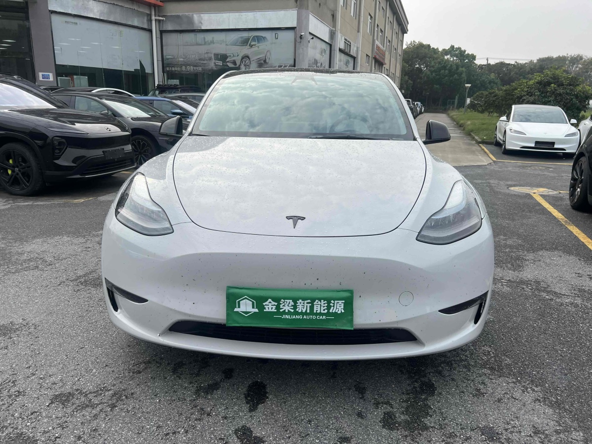 特斯拉 Model Y  2022款 Performance高性能全輪驅(qū)動版圖片