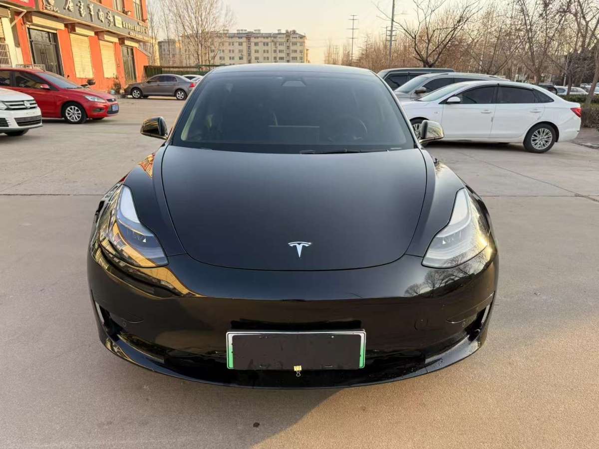 特斯拉 Model 3  2019款 標(biāo)準(zhǔn)續(xù)航后驅(qū)升級(jí)版圖片