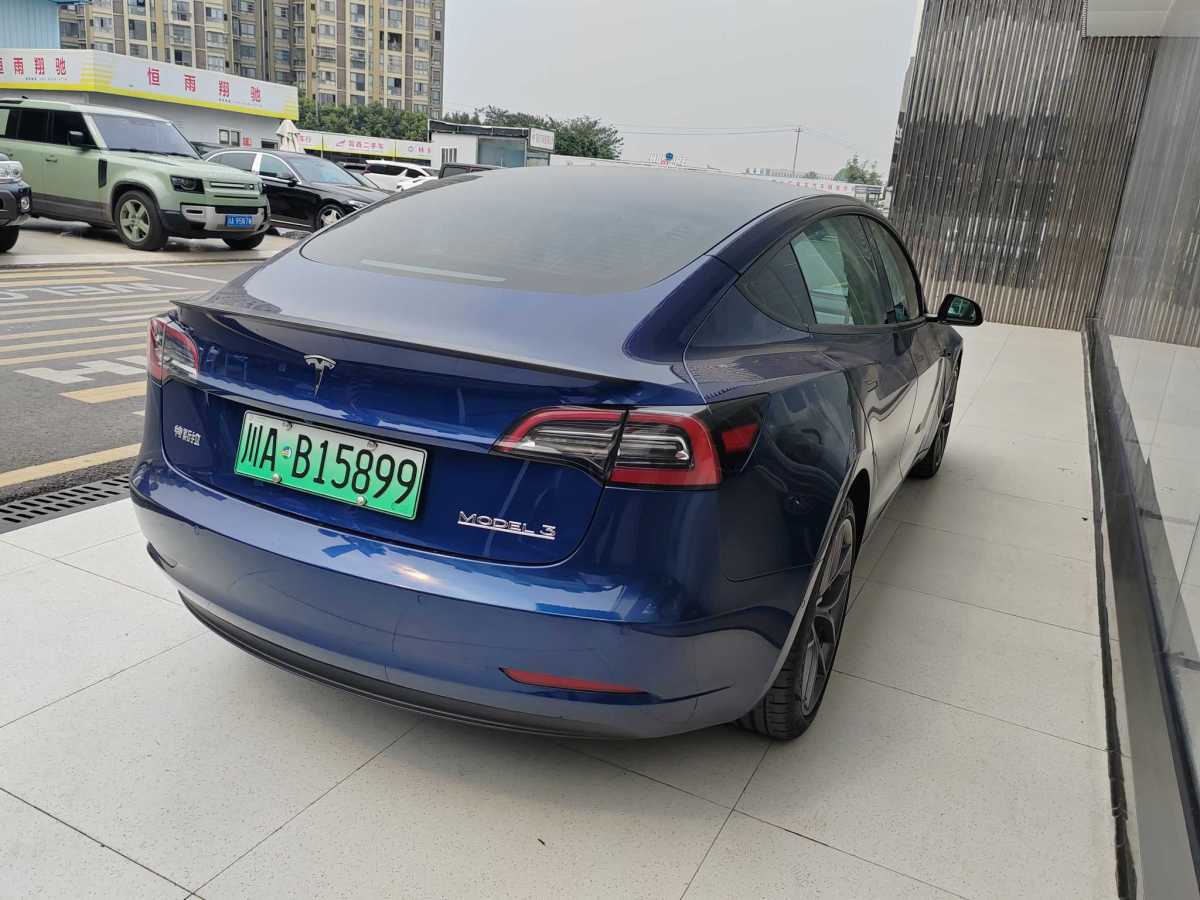 特斯拉 Model 3  2019款 Performance高性能全輪驅(qū)動(dòng)版圖片