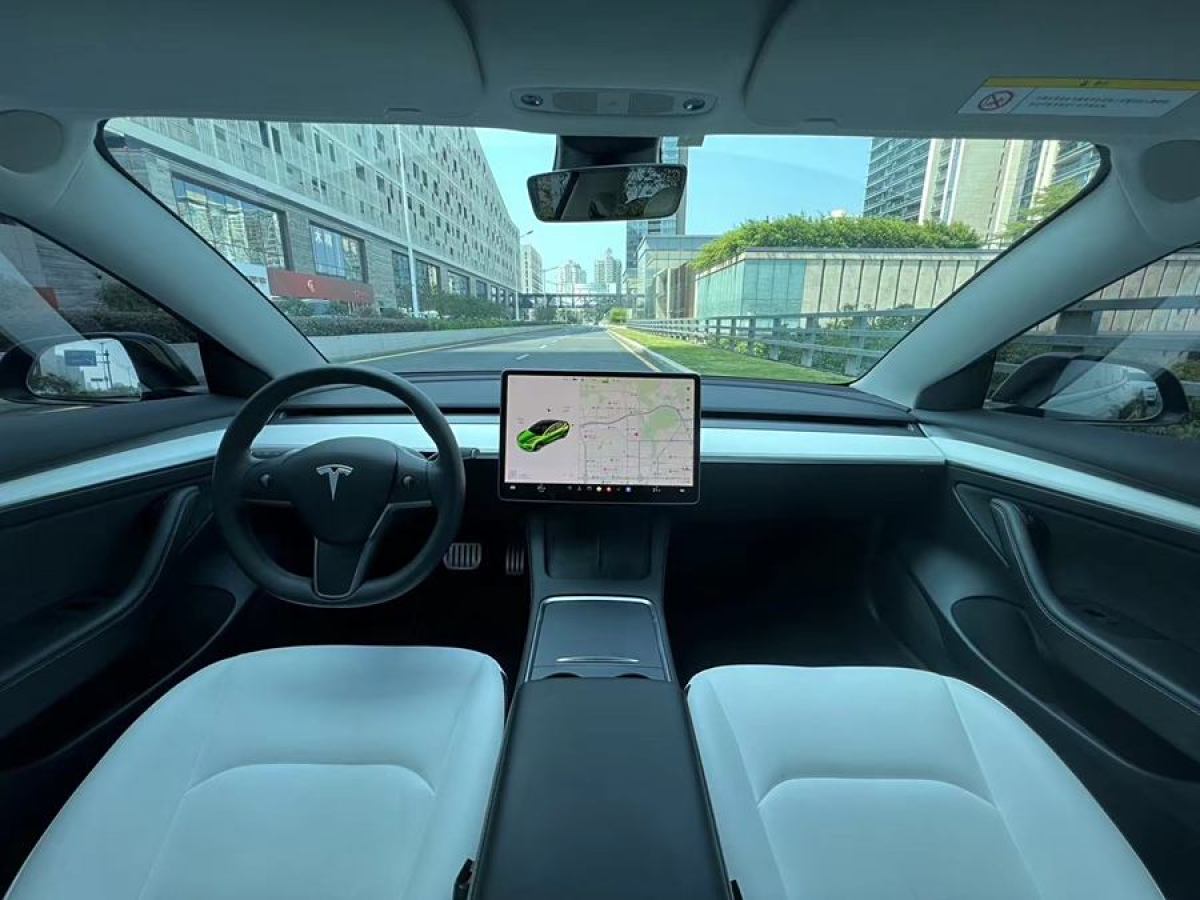 特斯拉 Model 3  2022款 Performance高性能全輪驅(qū)動版圖片