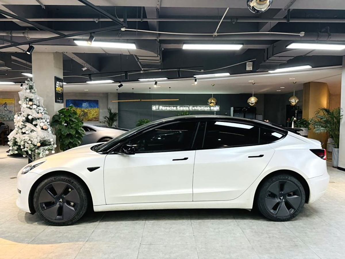 特斯拉 Model 3  2021款 改款 標(biāo)準(zhǔn)續(xù)航后驅(qū)升級(jí)版圖片