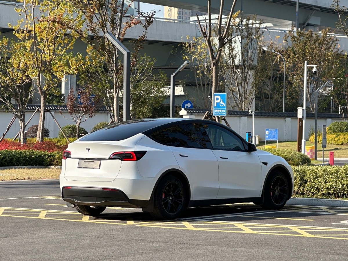 特斯拉 Model Y  2022款 后驅(qū)版圖片