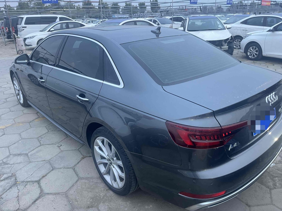 奧迪 奧迪A4L  2019款 40 TFSI 時尚型 國VI圖片