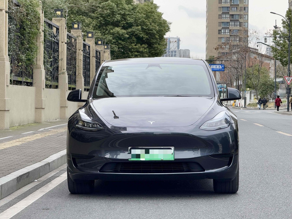 特斯拉 Model 3  2020款 改款 長續(xù)航后輪驅(qū)動版圖片