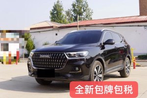 H6 哈弗 国潮版 1.5T 自动冠军版