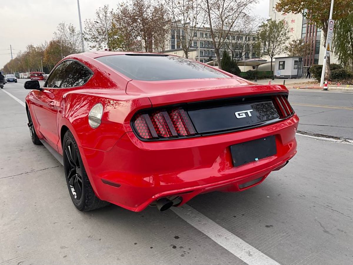 福特 Mustang  2015款 2.3T 50周年紀(jì)念版圖片