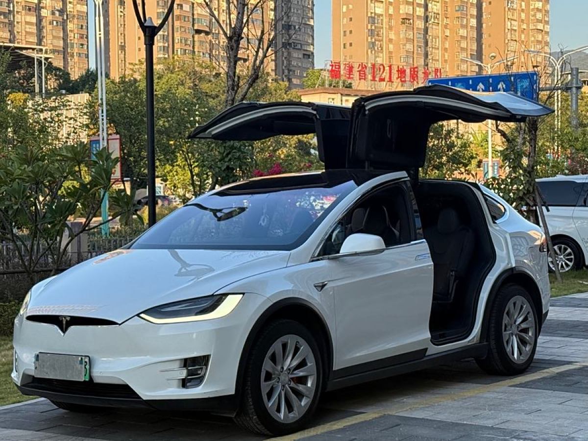 特斯拉 Model X  2019款 Performance 高性能版圖片