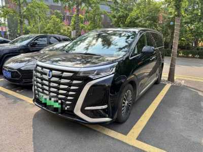 2025年4月 騰勢 騰勢D9 DM-i 980 四驅(qū)尊貴型圖片