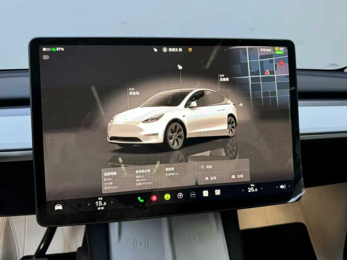 特斯拉 Model Y  2024款 Performance高性能版圖片