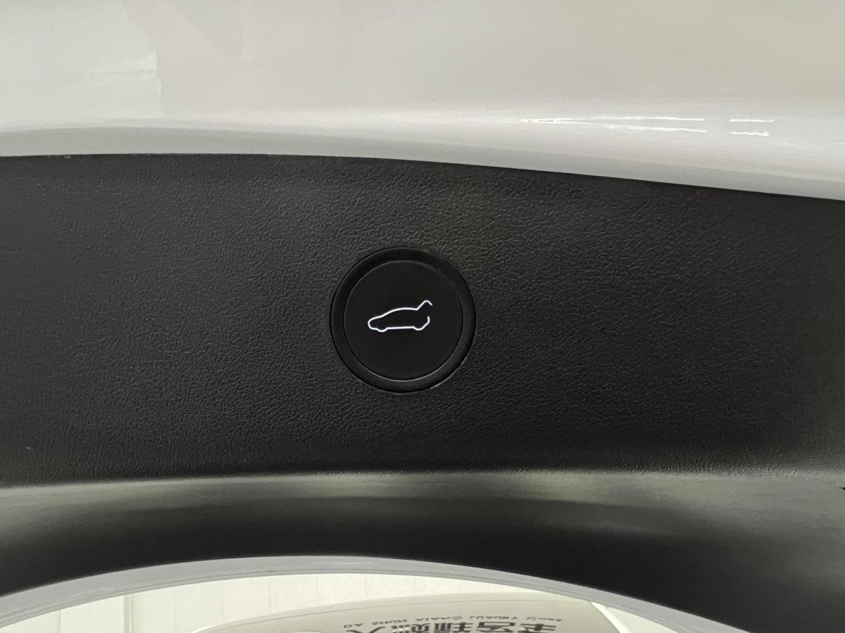 特斯拉 Model 3  2019款 標(biāo)準(zhǔn)續(xù)航后驅(qū)升級(jí)版圖片