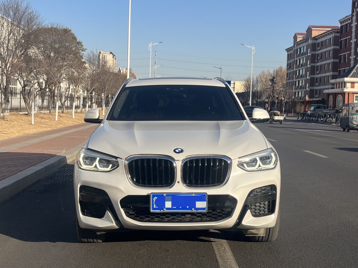 寶馬 寶馬X3  2021款 xDrive30i 領(lǐng)先型 M運動套裝圖片