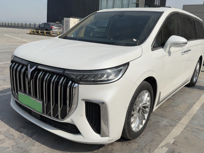 2024年1月 嵐圖 夢想家 PHEV 超長續(xù)航尊貴版圖片