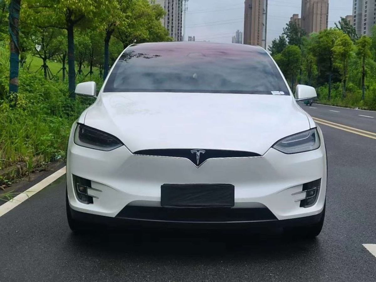 特斯拉 Model X  2017款 Model X 100D 長續(xù)航版圖片