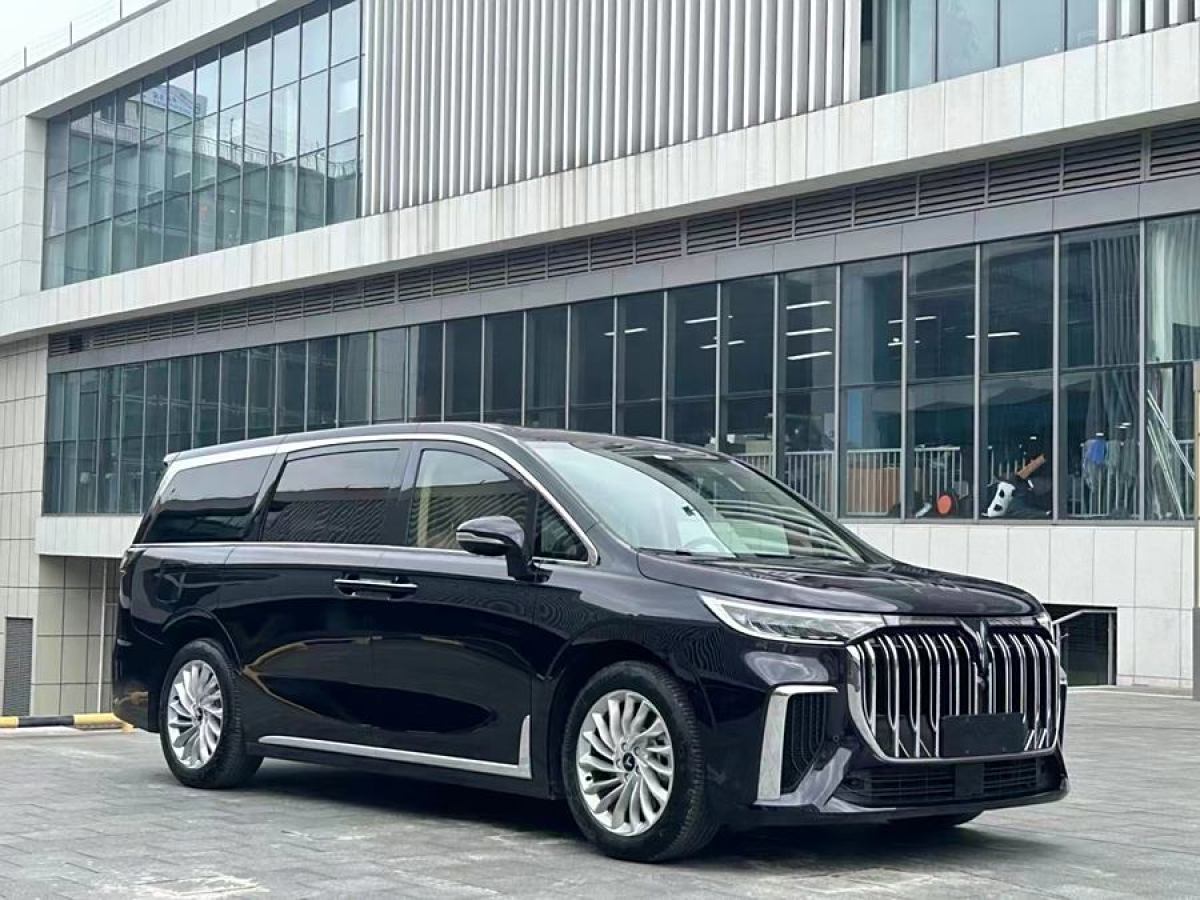 嵐圖 夢(mèng)想家  2024款 PHEV 超長(zhǎng)續(xù)航尊貴版圖片