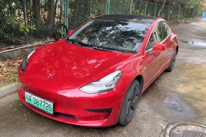 Model 3 特斯拉 标准续航后驱升级版