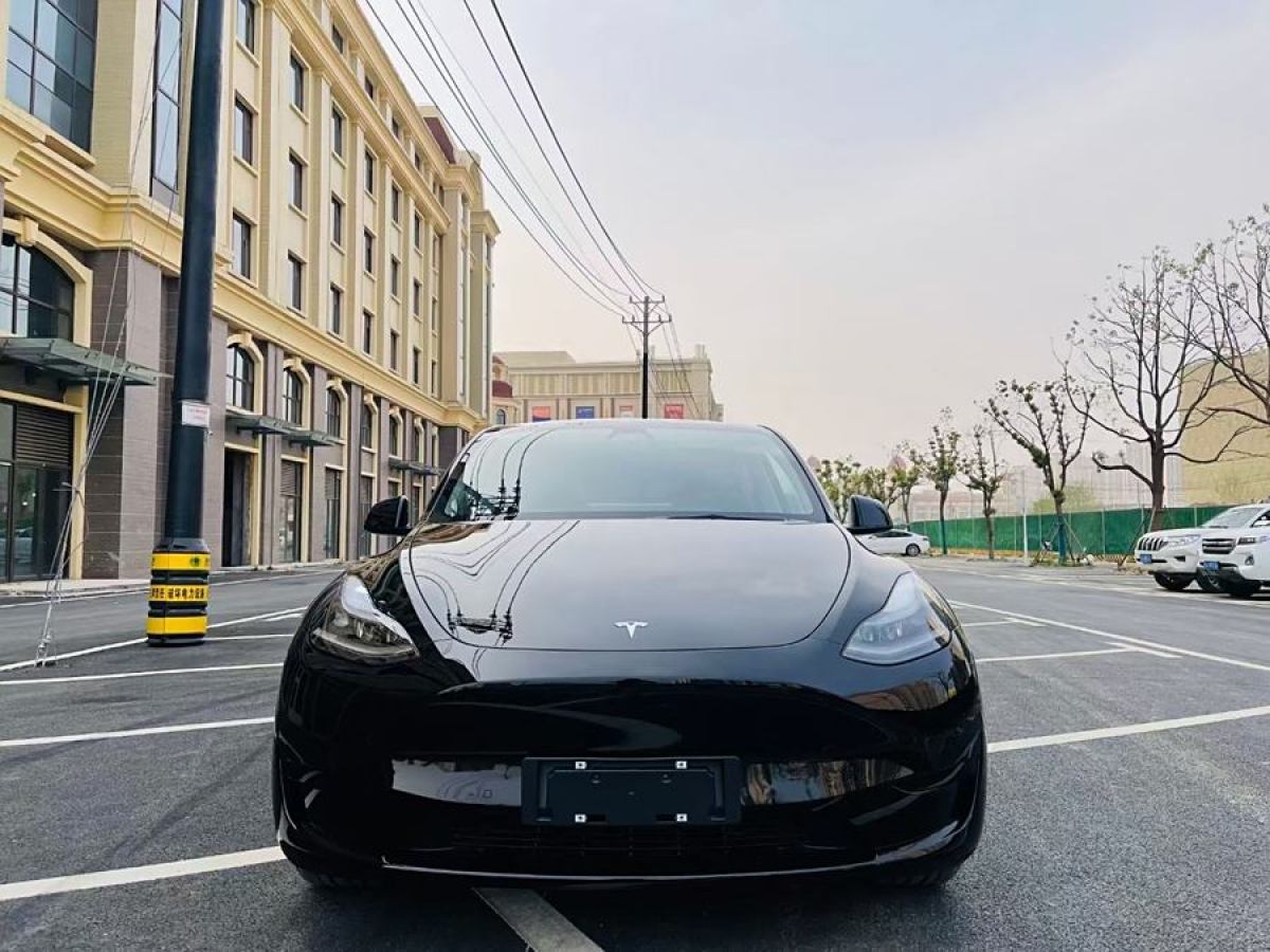 特斯拉 Model Y  2022款 后輪驅(qū)動版圖片