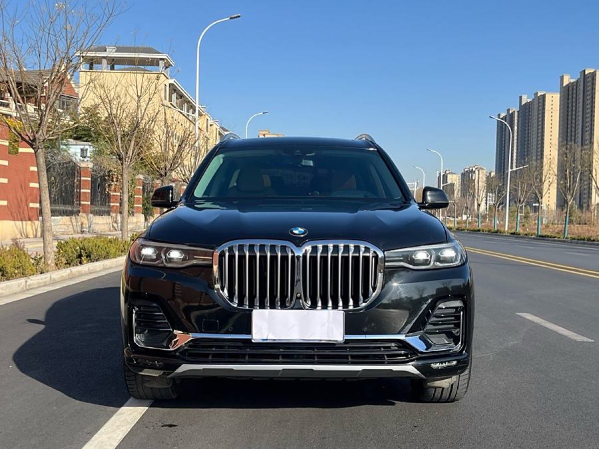 寶馬 寶馬X7  2019款  xDrive40i 領(lǐng)先型豪華套裝圖片