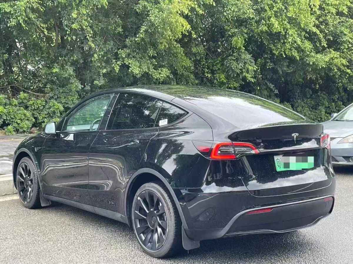 特斯拉 Model Y  2022款 Performance高性能全輪驅(qū)動(dòng)版圖片