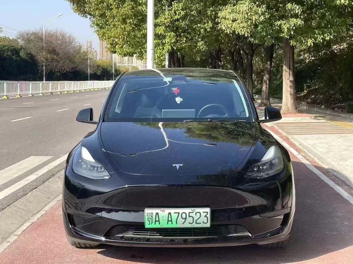 特斯拉 Model 3  2022款 Performance高性能全輪驅(qū)動版圖片