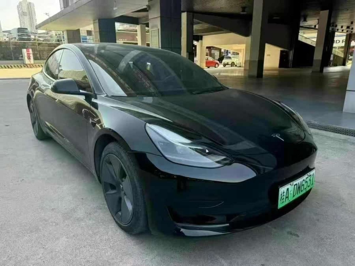 特斯拉 Model 3  2021款 改款 標(biāo)準(zhǔn)續(xù)航后驅(qū)升級(jí)版圖片