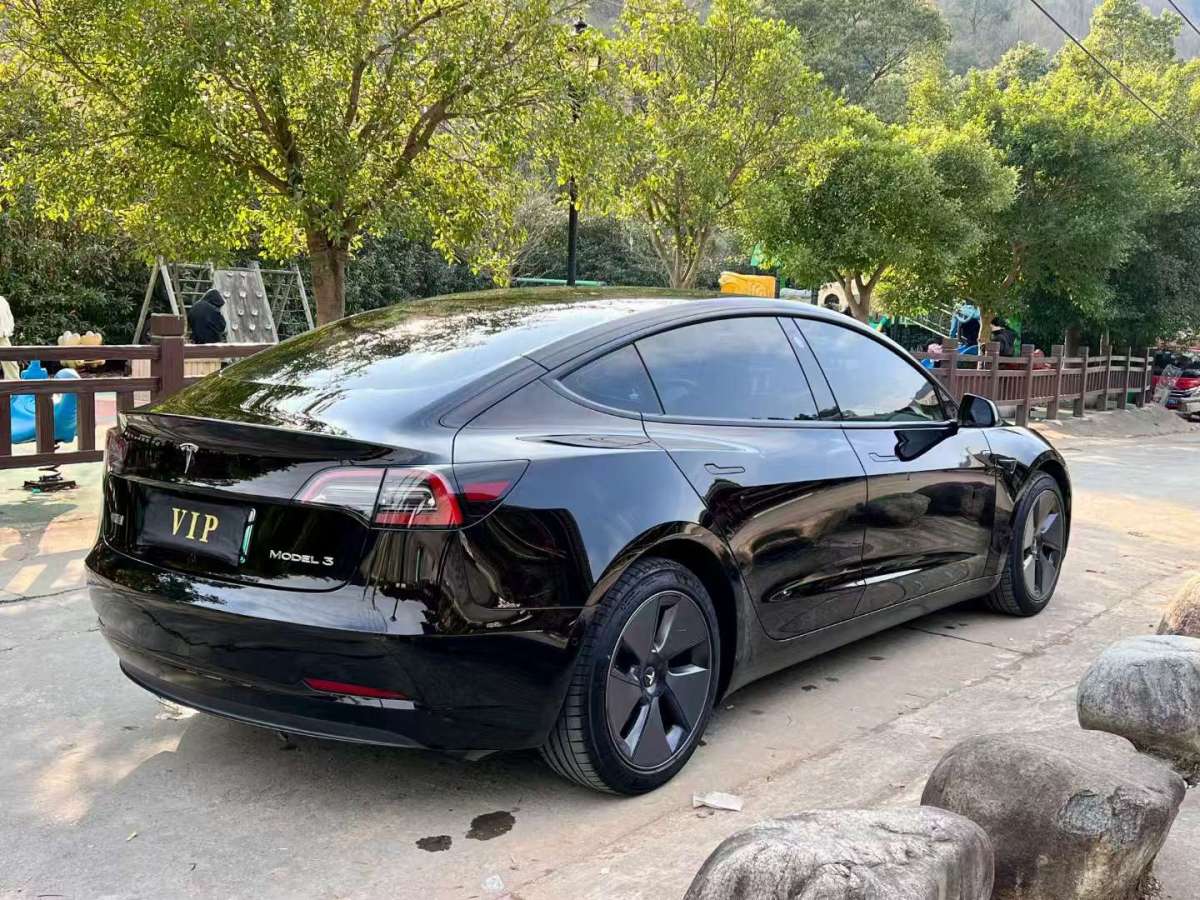 特斯拉 Model 3  2021款 標(biāo)準(zhǔn)續(xù)航后驅(qū)升級(jí)版 3D6圖片