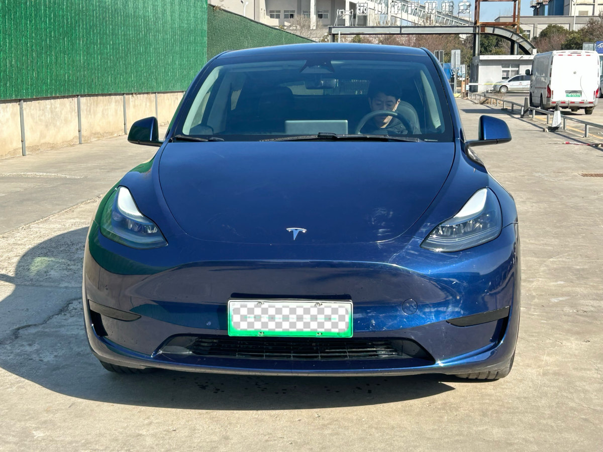 特斯拉 Model 3  2020款 改款 長續(xù)航后輪驅動版圖片