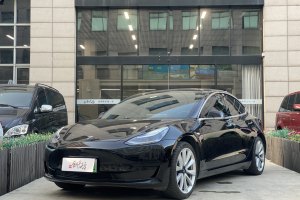 Model 3 特斯拉 标准续航后驱升级版