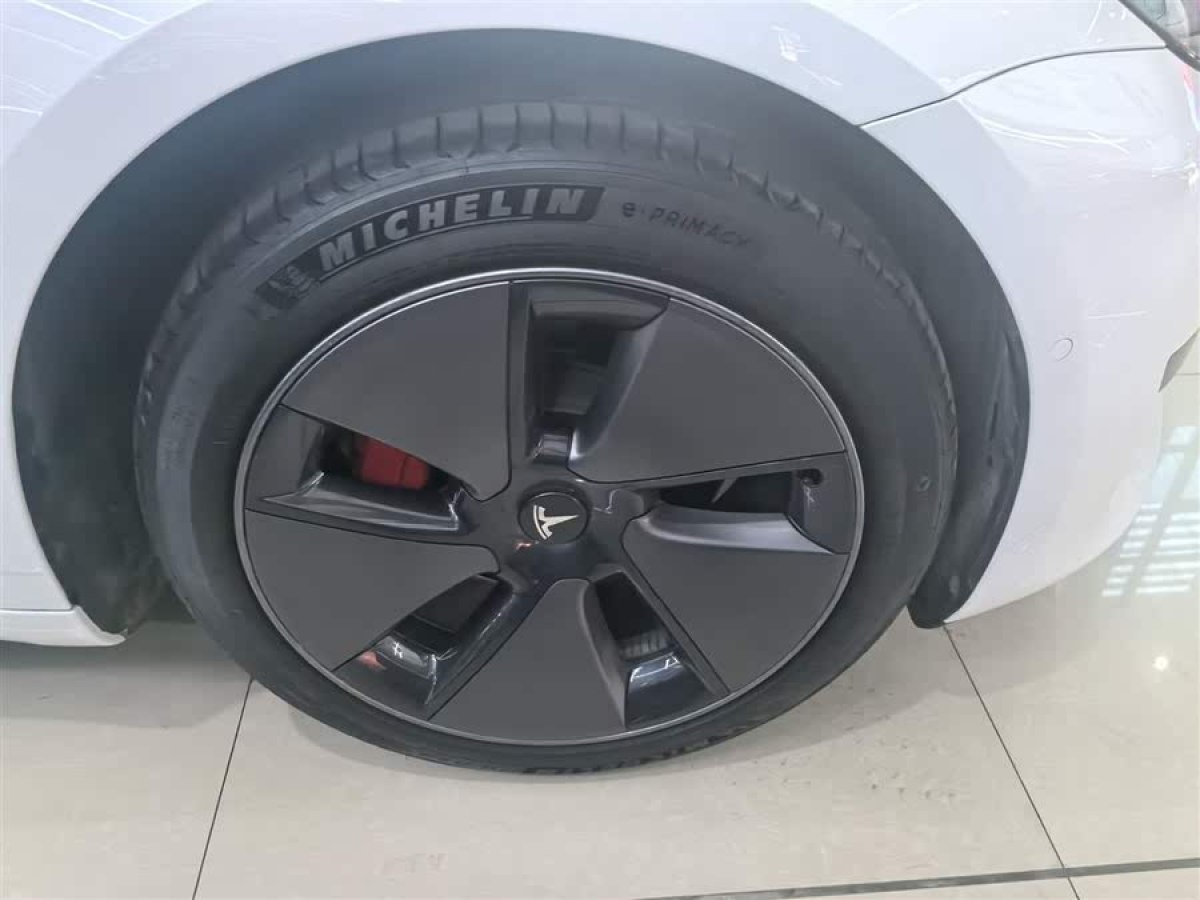 特斯拉 Model 3  2022款 后輪驅(qū)動(dòng)版圖片