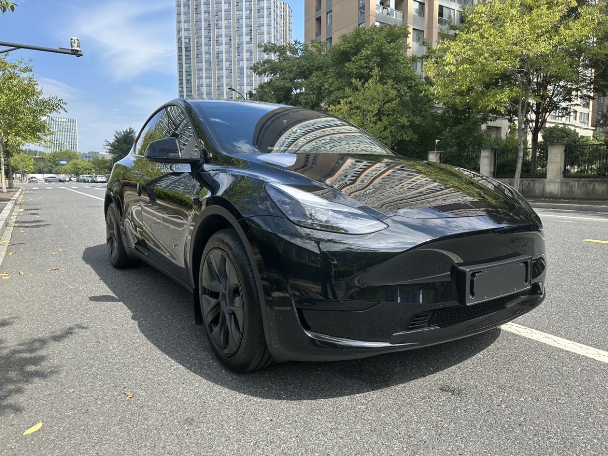 2024年07月特斯拉 Model Y  2022款 后輪驅(qū)動版