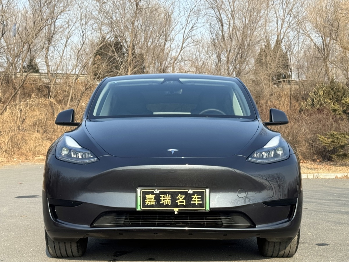 特斯拉 Model Y  2024款 后輪驅(qū)動版圖片