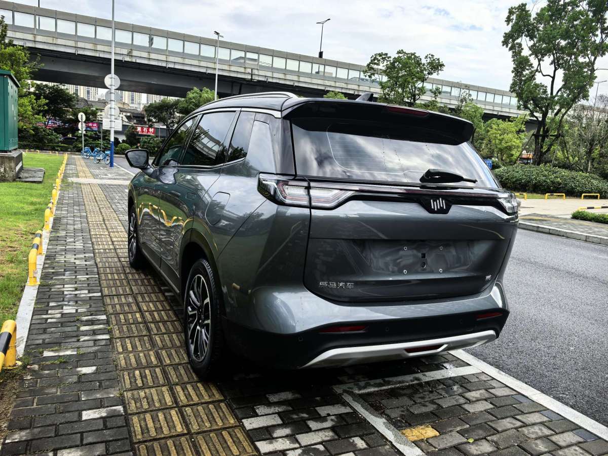 威馬 威馬W6  2021款 520km NEX探索版圖片