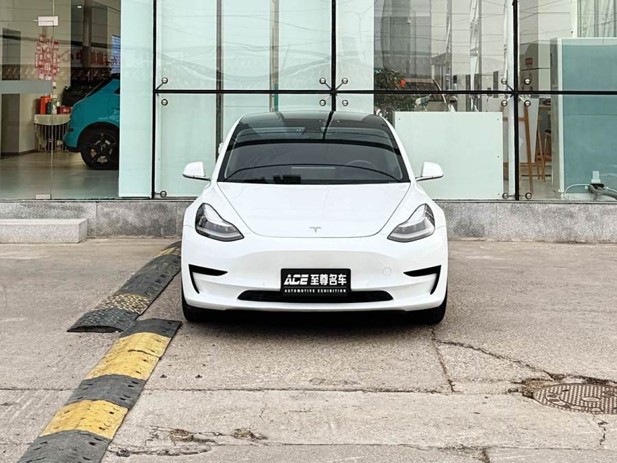 特斯拉 Model 3  2020款 改款 標(biāo)準(zhǔn)續(xù)航后驅(qū)升級版圖片